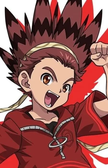 Bird Kazami
