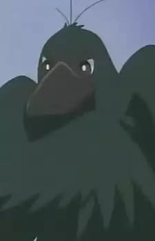 Hashibuto-san