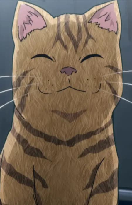 Monster Cat