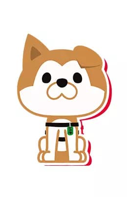 Hachi