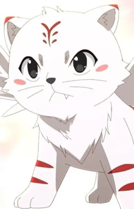 Cha Chi Hu