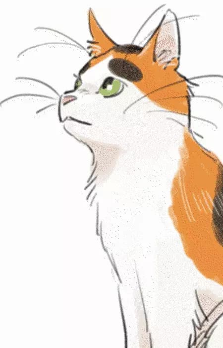 Buchio Ooishi