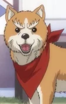 Cinnamon