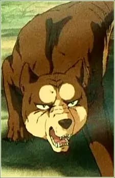 Riki