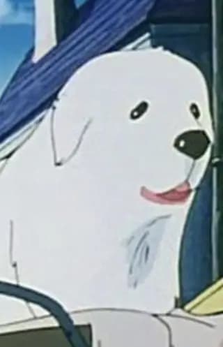 Belle