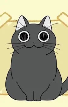 Kombu