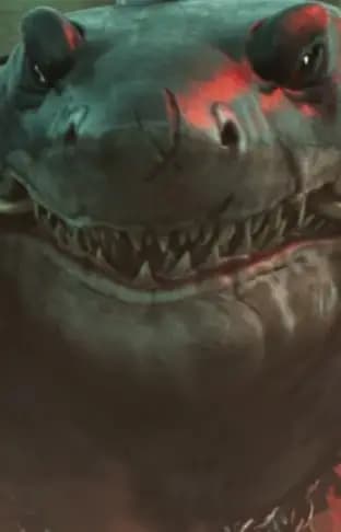Shark Monster