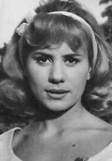 Bardollet, Michèle