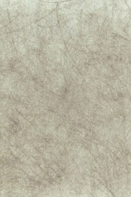 Scripta Volant
